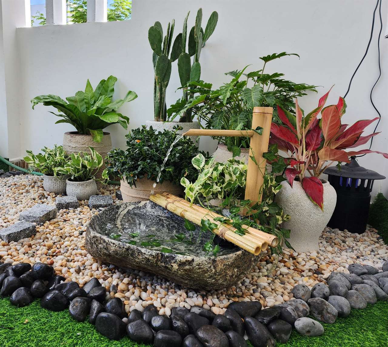 Garden Area